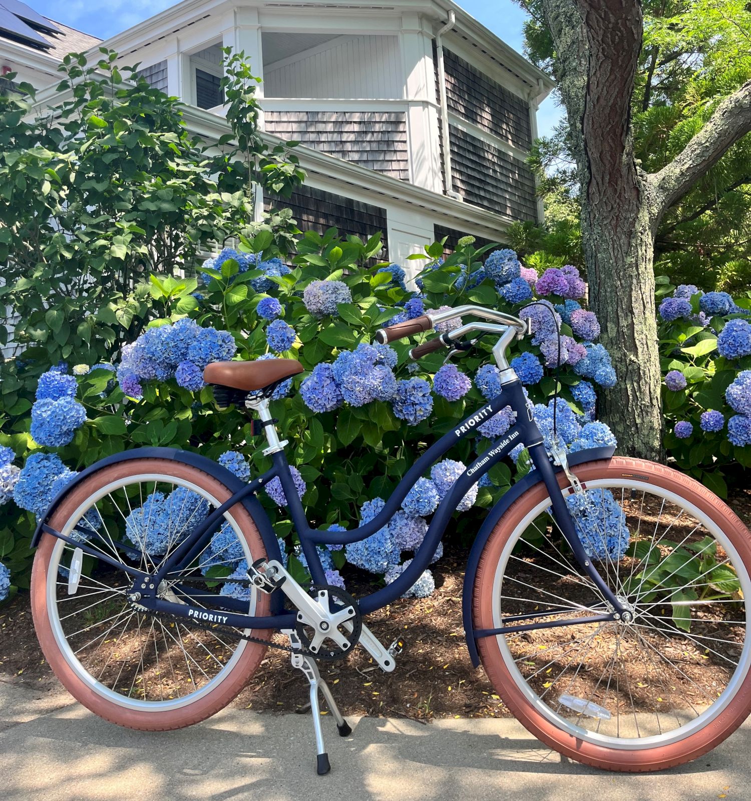 A bicycle stands on a sidewalk in front of blooming blue hydrangeas with a two-story house and a tree in the background.