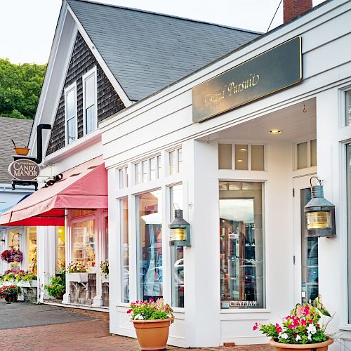 A street with charming storefronts, including a shop with a red awning and another with flower pots outside. The area appears inviting and well-kept.