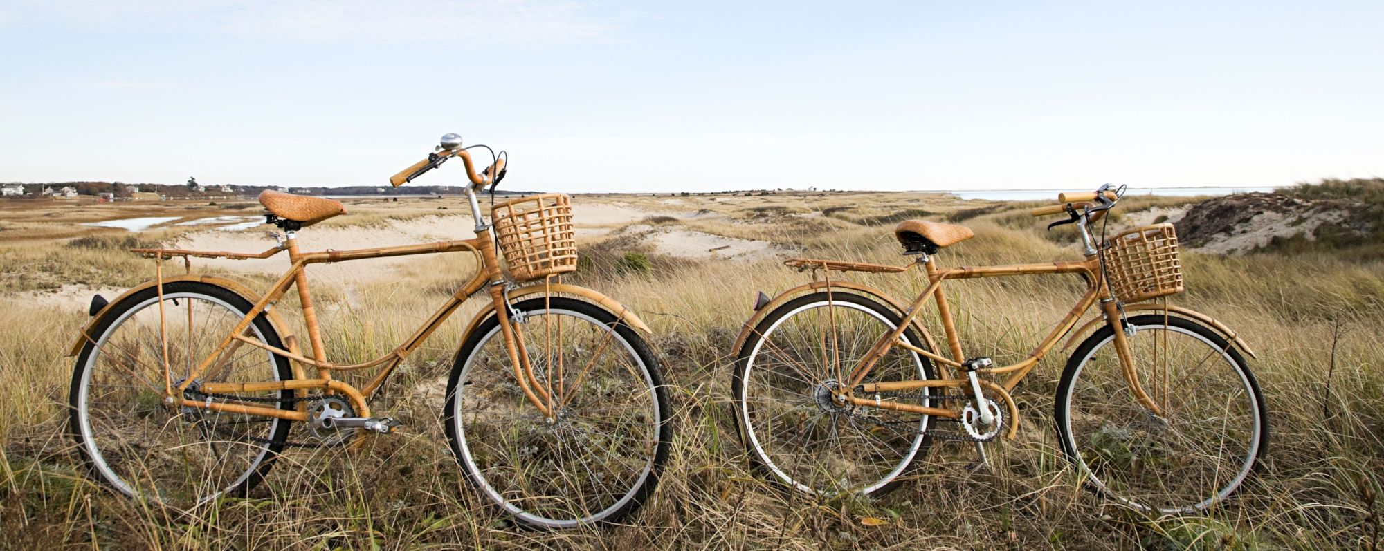 Two vintage bicycles with wicker baskets stand in tall grass near sandy dunes under a clear sky.