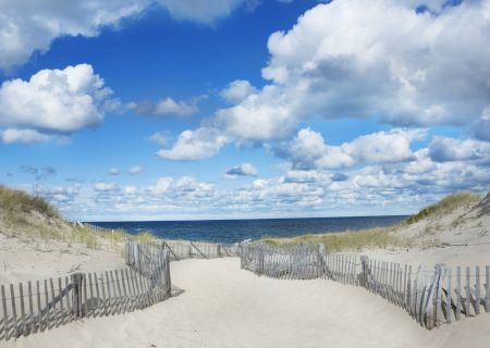 A sandy path with wooden fencing leads through dunes toward a calm ocean under a bright blue sky with fluffy white clouds ending the sentence.