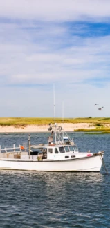 A white boat is anchored on calm water with a sandy shoreline and green grass in the background. Seagulls are flying overhead under a blue sky.