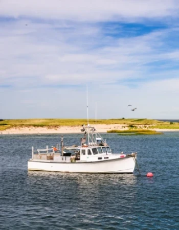 Fishing boats float on a calm blue sea with a grassy shoreline and open sky in the background.