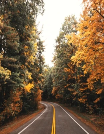 A winding road flanked by trees with vibrant autumn foliage, showcasing shades of yellow, orange, and green, under a partly cloudy sky.