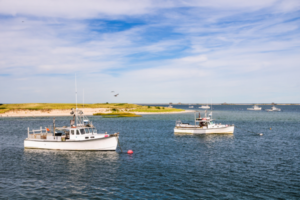 Two boats are floating on a tranquil body of water near a shoreline, with a clear blue sky overhead.