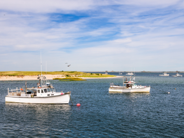 Two boats are floating on a tranquil body of water near a shoreline, with a clear blue sky overhead.