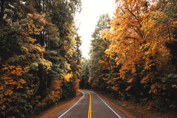 A winding road lined with trees showcasing vibrant autumn foliage in shades of yellow, orange, and green, under a cloudy sky.