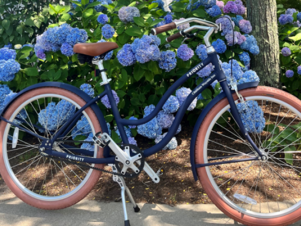 A bicycle with brown seat and handlebars is parked in front of a bush with blooming purple and blue hydrangeas on a sunny day.