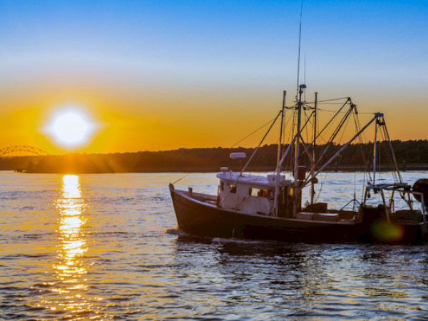 A fishing boat is sailing on the water at sunset, with a bridge silhouetted in the distant background.