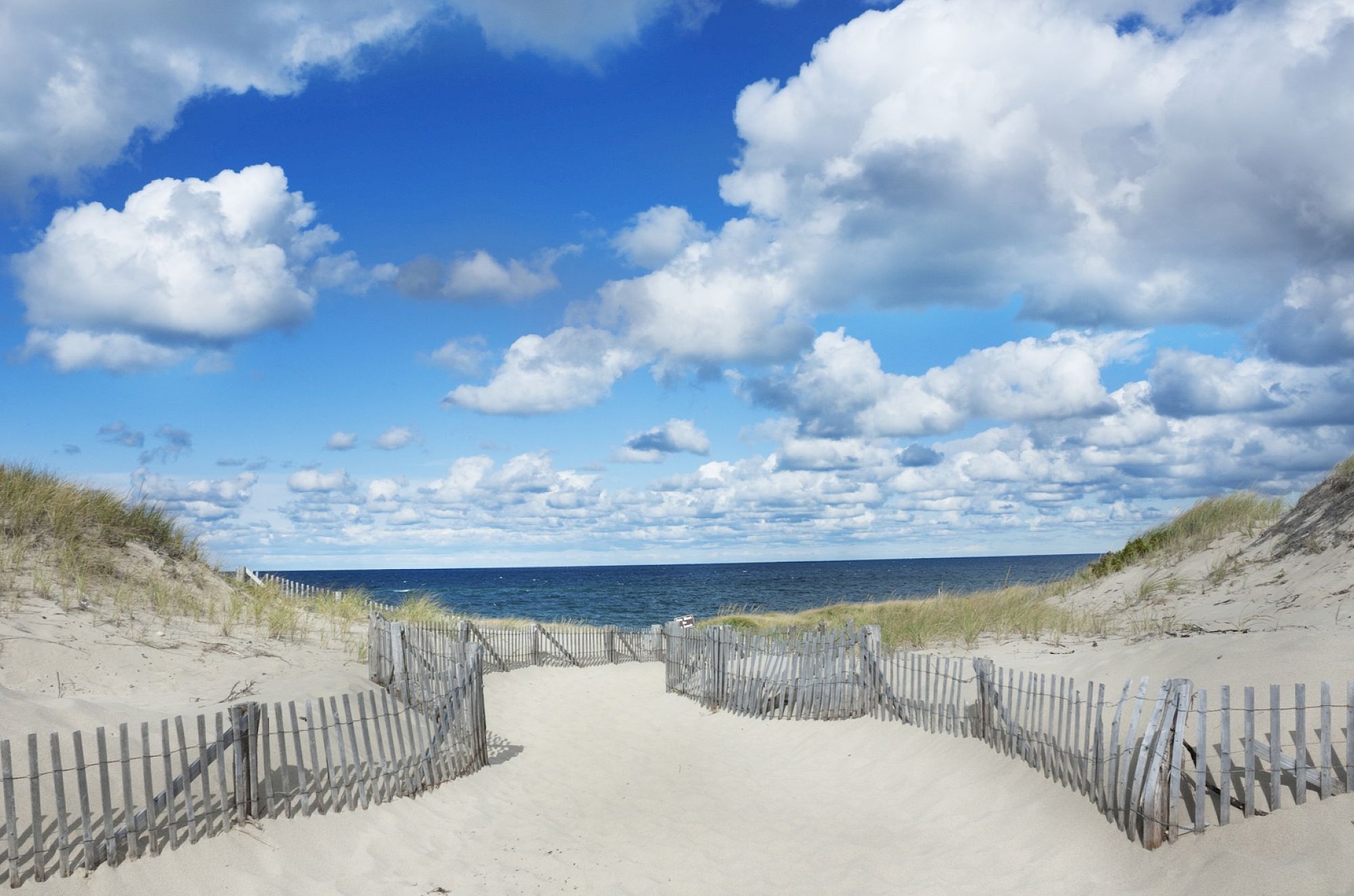 A sandy dune path leads to a calm blue ocean, flanked by weathered wooden fences under a bright, partly cloudy sky.