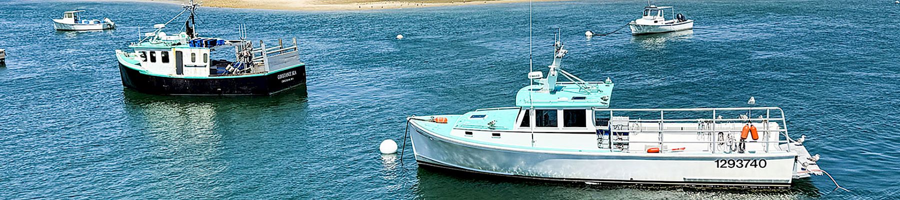 Two boats are docked in clear blue water near a sandy beach and grassy shoreline under a bright blue sky.
