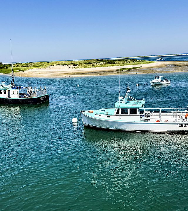 Two boats are docked in clear blue water near a sandy beach and grassy shoreline under a bright blue sky.