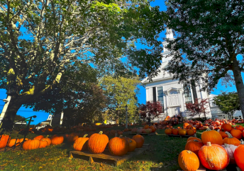 A sunny yard filled with carved pumpkins and gourds in front of a white house, with trees and a porch in view.