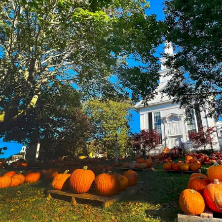 A sunny yard filled with carved pumpkins and gourds in front of a white house, with trees and a porch in view.